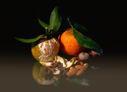 reflection of delicious fruits