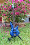 Guitar Blue in garden