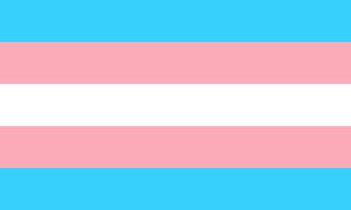 trans transgender flag pride