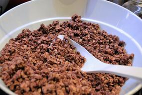 delicious chocolate balls