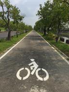 Bicycle Car Road