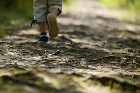 Child Wandering Path