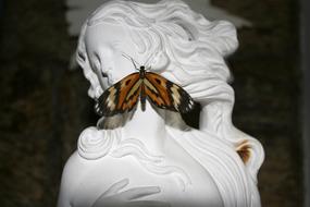 Statue Butterfly