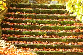Autumn Stairs Fall Foliage Stair