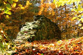 Autumn Stone Wall Fall Foliage