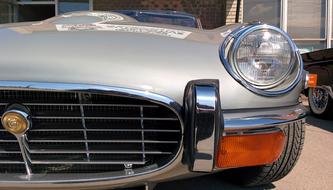 Jaguar Silver Shiny