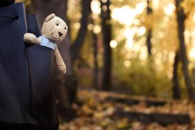 Bear Toy forest