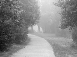 park in the fog road