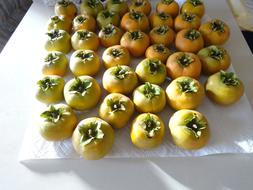 Fresh tasty persimmons