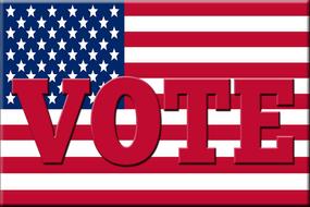 flag vote voting political