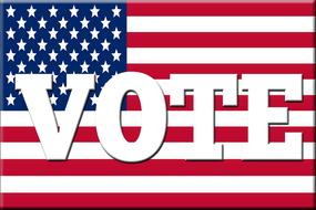 flag vote voting political