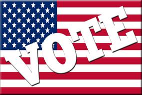 flag vote voting political