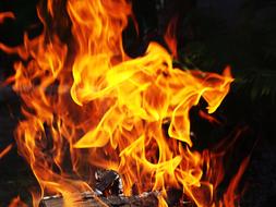 Fire Orange