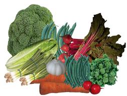 raw ripe vegetables