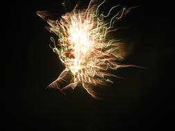 New Year Fireworks