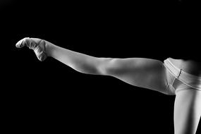 Ballet Leg
