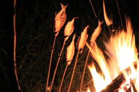 Fire Fish Spit