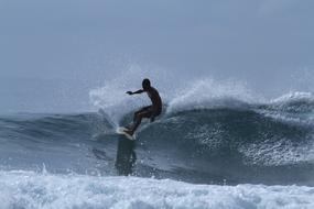 Surfing Sea Wave