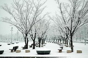 Sangam World Cup Park Snow