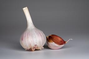 ripe garlic