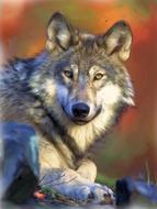 painting oil painting photo painting
