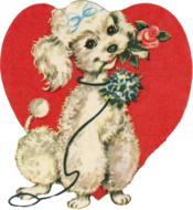 a cute dog with a rose and a heart in the background