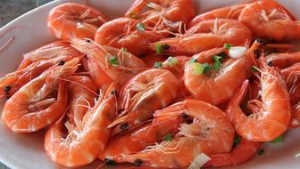 Gourmet Prawns Red