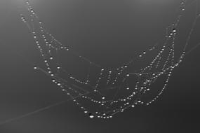 Water Droplets Makro
