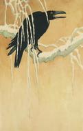 watercolor art black bird drawing