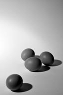 Eggs Group