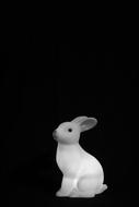 Light Rabbit Baby