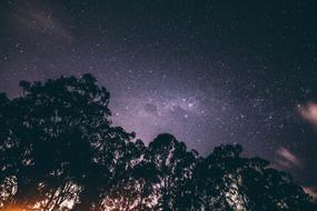 Low Angle Shot Night Sky Starry
