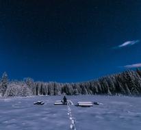 Winter Snow Figure forest