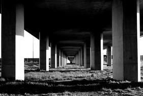 Bridge Column