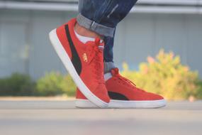Puma Reed