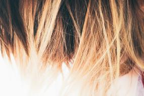 Blonde Color Hair