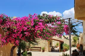 Greece Crete Monastery Moni