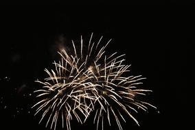 Fireworks Celebration The Eruption
