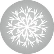 snow snow white white asterisk
