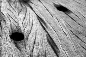 Closeup Black And White