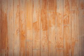 light brown vertical boards