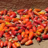 healthy red vegetables