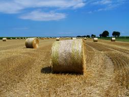 Straw Bales Stubble Agriculture