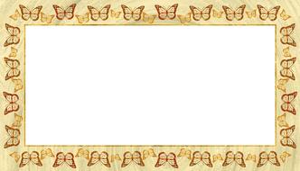 frame picture butterfly gold