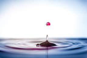 Drip Water Drop Of