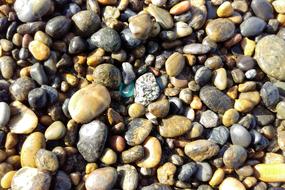 wet rocks on the beach