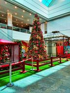 Christmas Tree Shopping Center