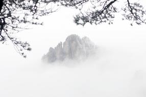 mountain fog trees landscape