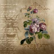 Beautiful and colorful roses with the leaves, on the vintage paper with the text, clipart