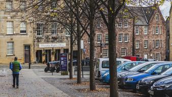 trees cars street people